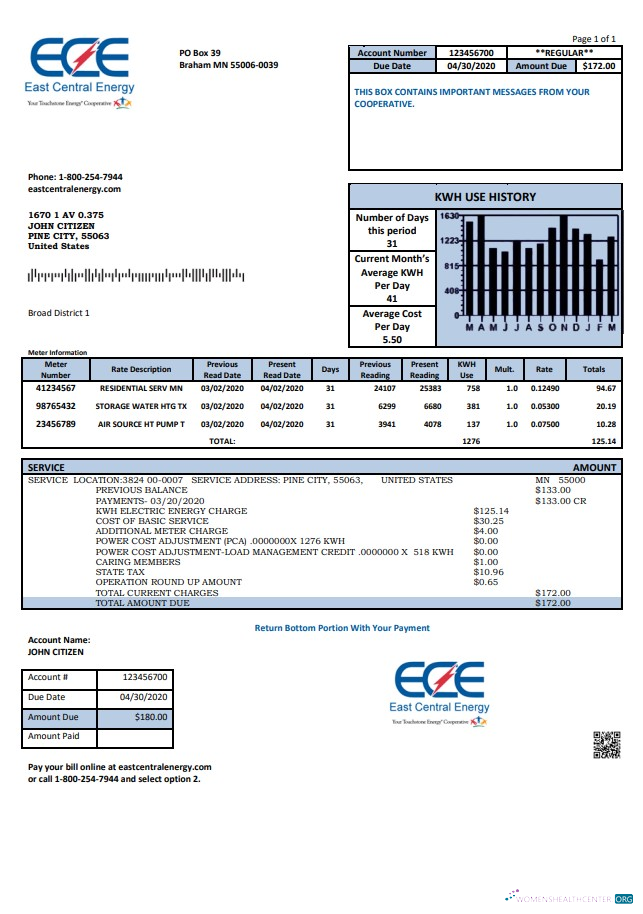 download USA Minnesota East Central Energy utility bill template in Word and PDF (.doc and .pdf) format PDF template